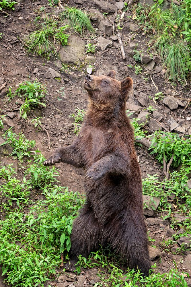 Photograph by Евгений Кучеренко