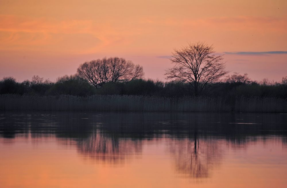 Photograph by Юрий Яковлев