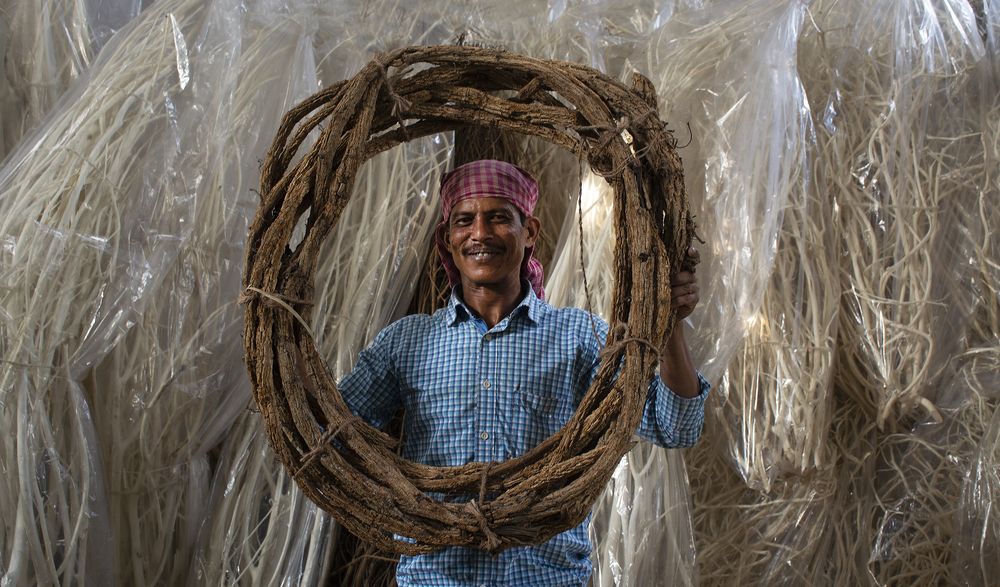 Фотография автора Nilanjan Saha