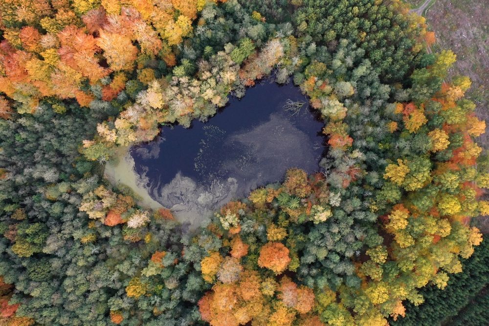 Photograph by Ernestas Balcikonis