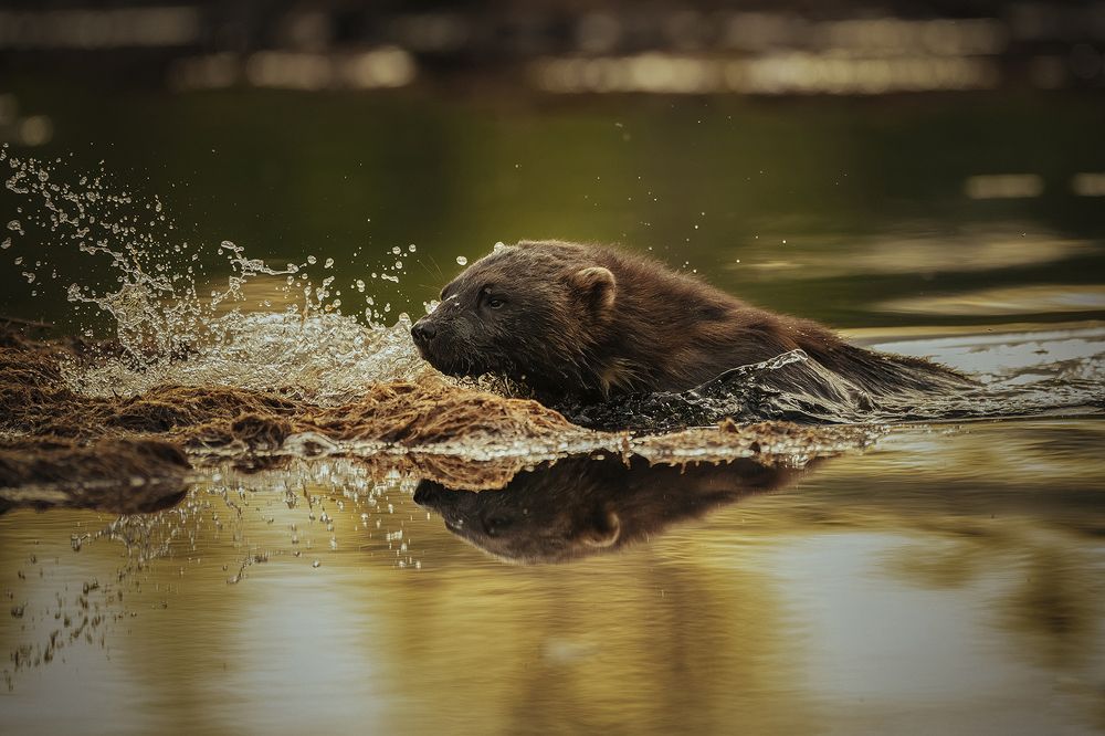 Photograph by Ernestas Balcikonis