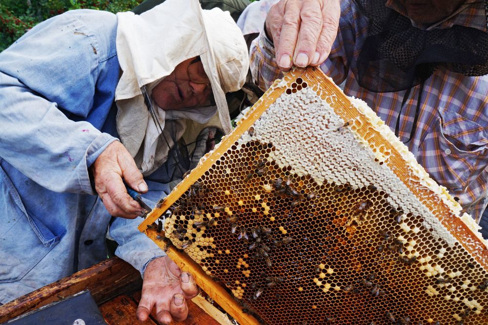 Photograph by Александр Мовчан