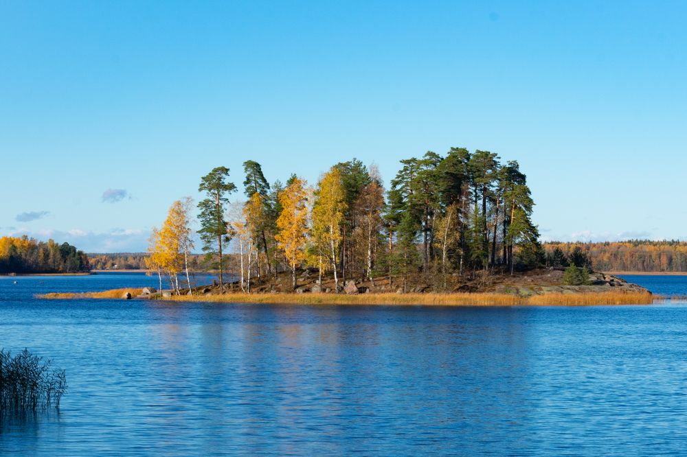 Photograph by Юлия Боровкова