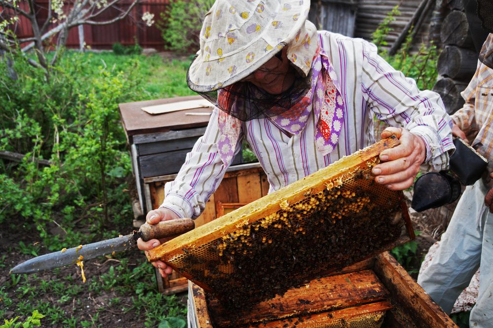 Photograph by Александр Мовчан