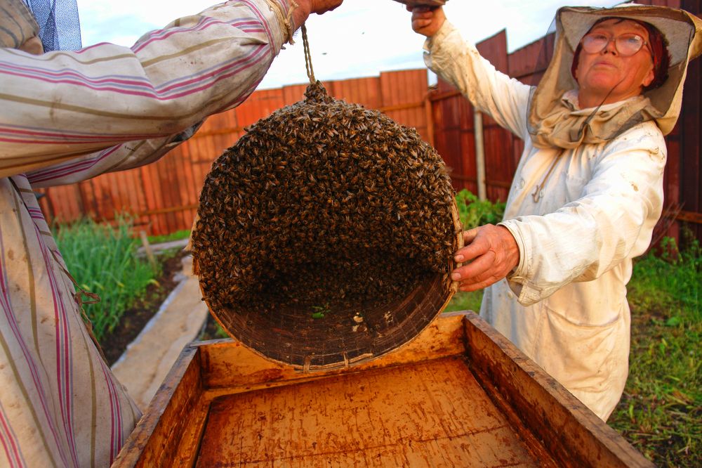 Photograph by Александр Мовчан