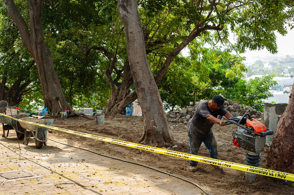 Photograph by Armando López-Guerrero