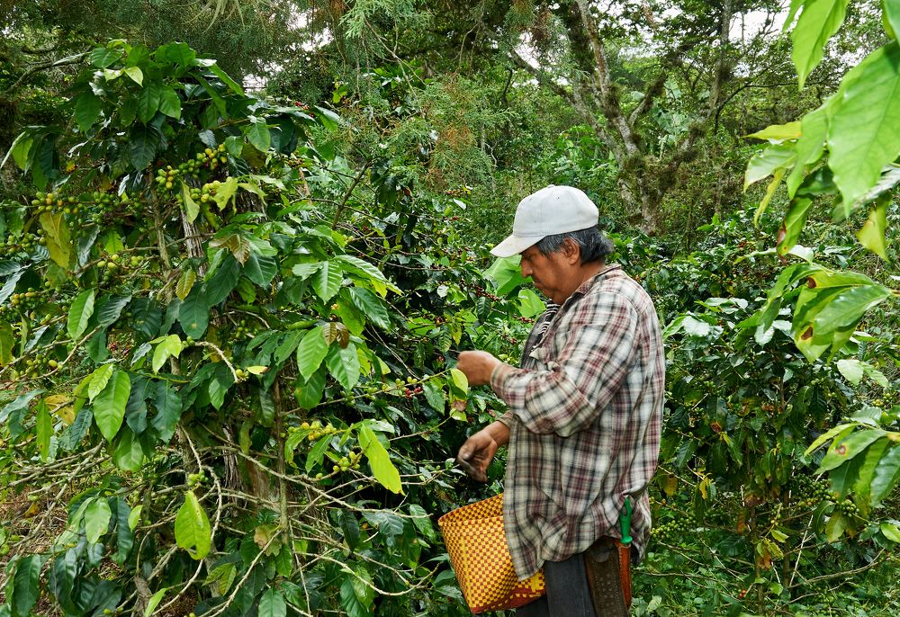 Photograph by Armando López-Guerrero