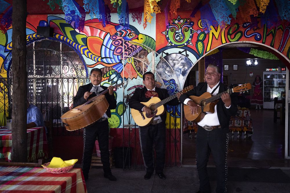 Фотография автора Ольга Дробышева