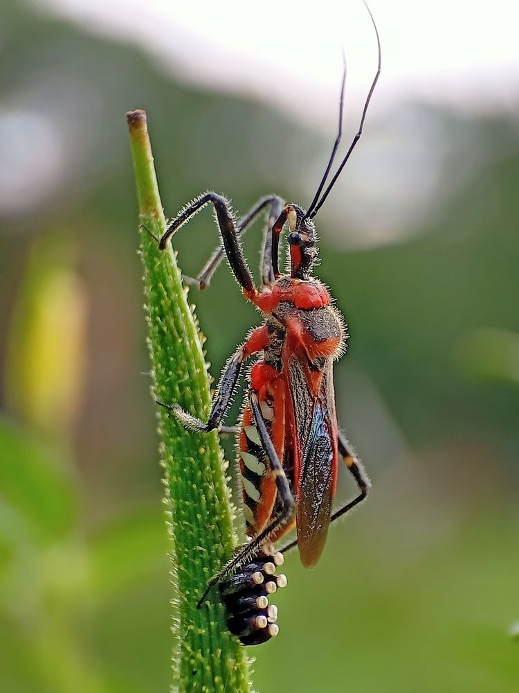 Photograph by Subhajit Jana