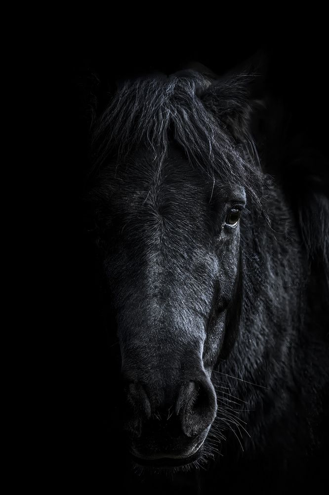 Photograph by Dino Sirica