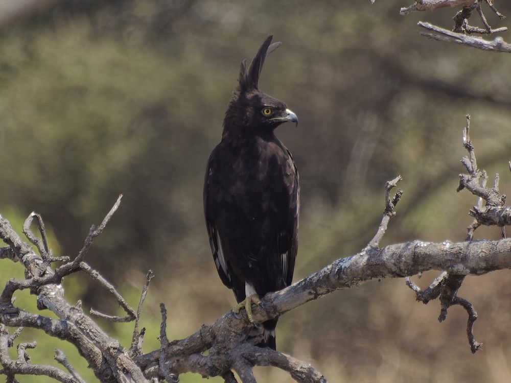 Photograph by Андрей Панин