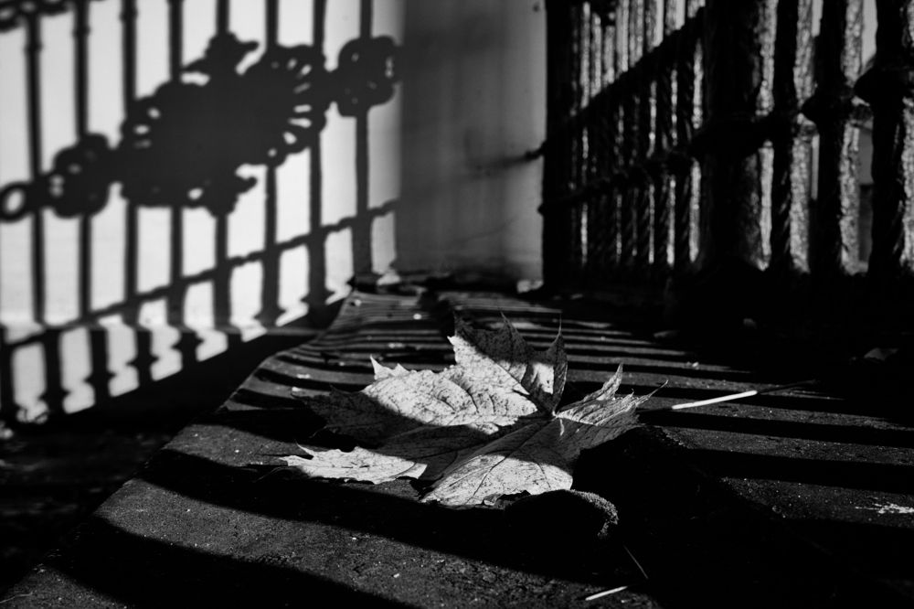 Photograph by Михаил Бронников