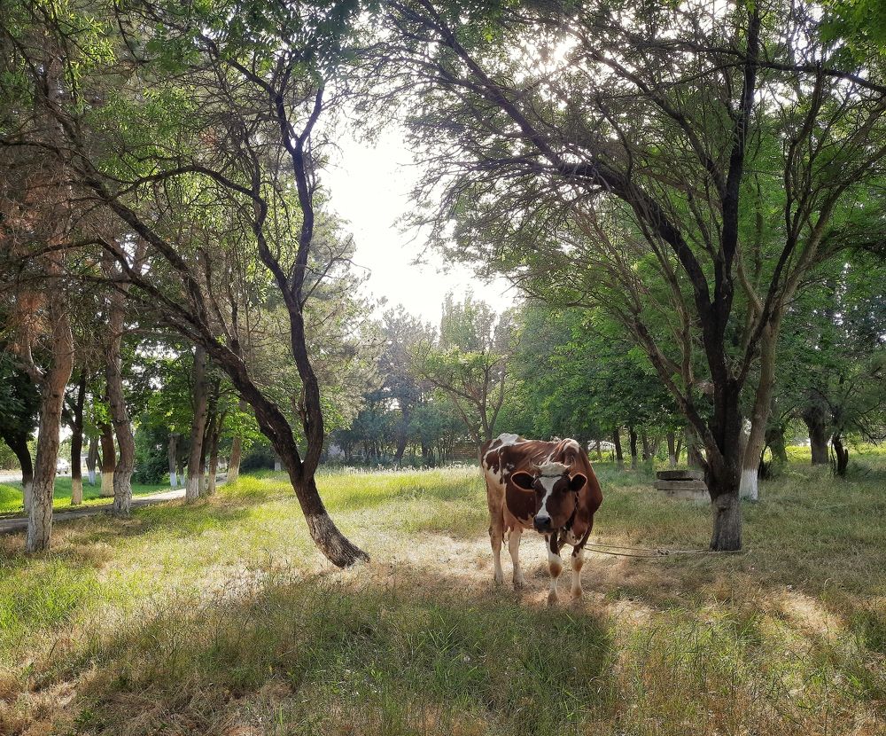 Photograph by Евгений Андреев