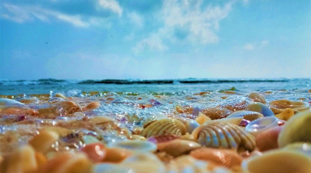 Photograph by Karnan Selvanayagam