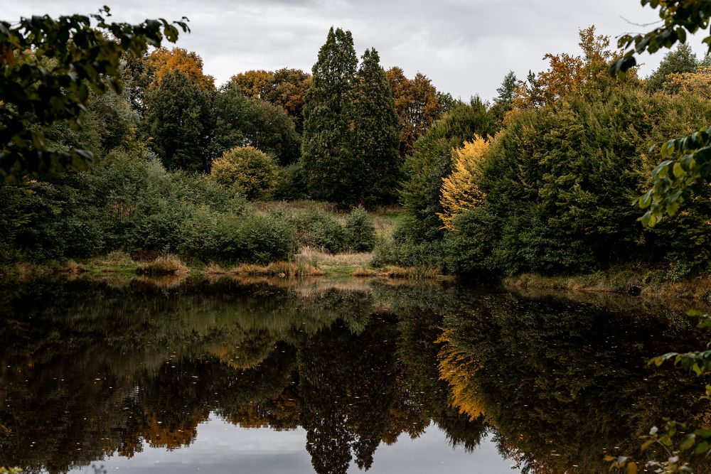 Лесной бассейн