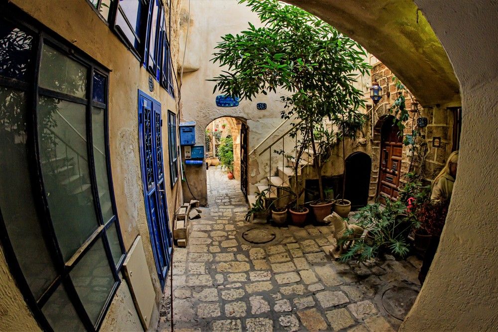 Photograph by Татьяна Колногоров