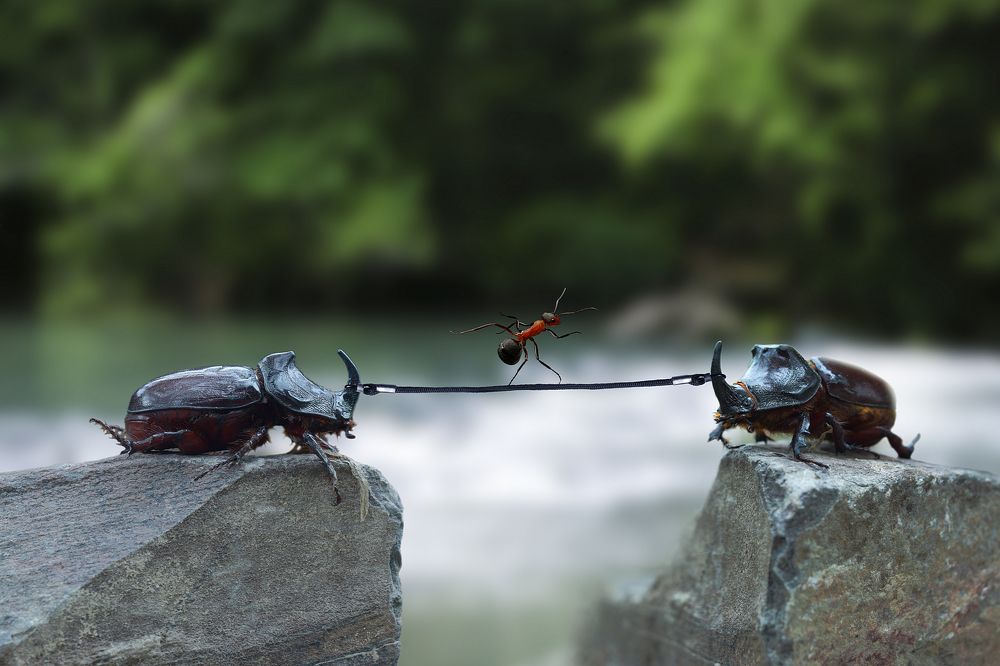 Photograph by Юрий Захаров