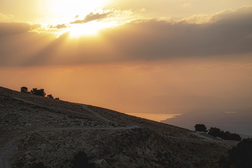 Photograph by Ali Abu Ras