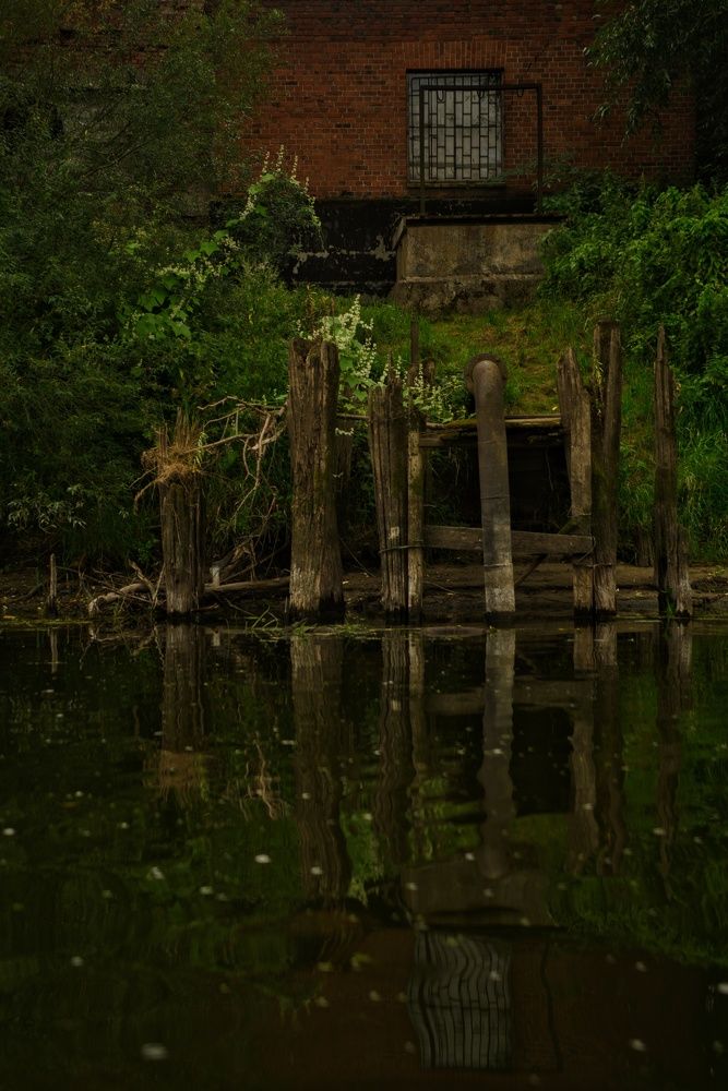 Photograph by 