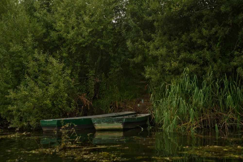 Photograph by Владимир Леликов-Кузьменко