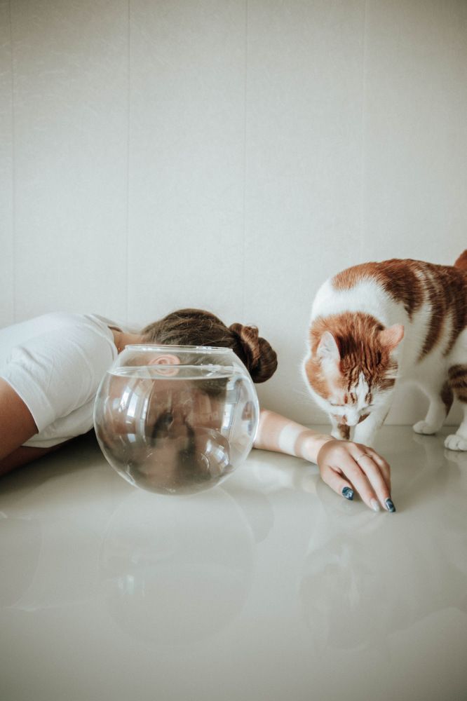 Photograph by Светлана