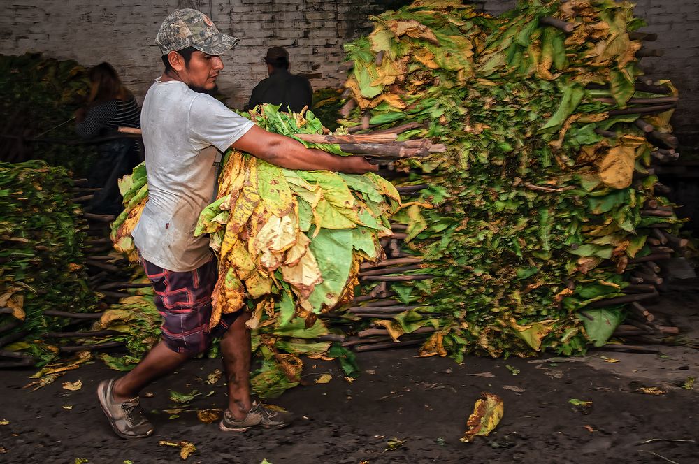 Photograph by César Gustavo Ruiz