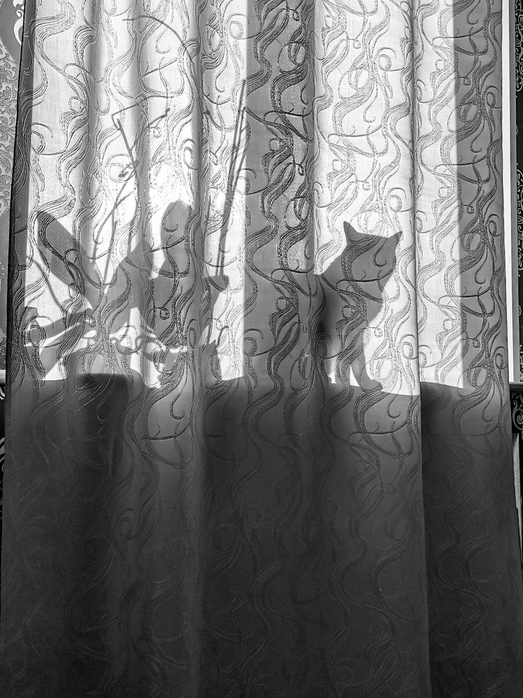 Photograph by Владимир Крылов