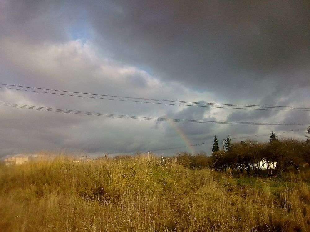 Фотография автора Сергей Яковлев