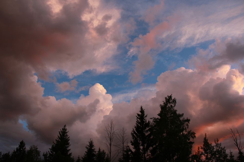 Photograph by Юлия Тырова