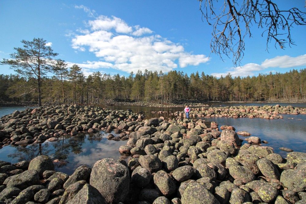 Photograph by Тимофей Петров