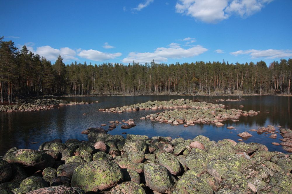 Photograph by Тимофей Петров