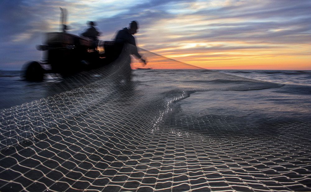 Фотография автора Ghadir Vaghari