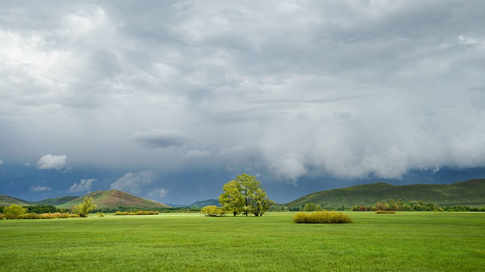 Photograph by Андрей Черкасов