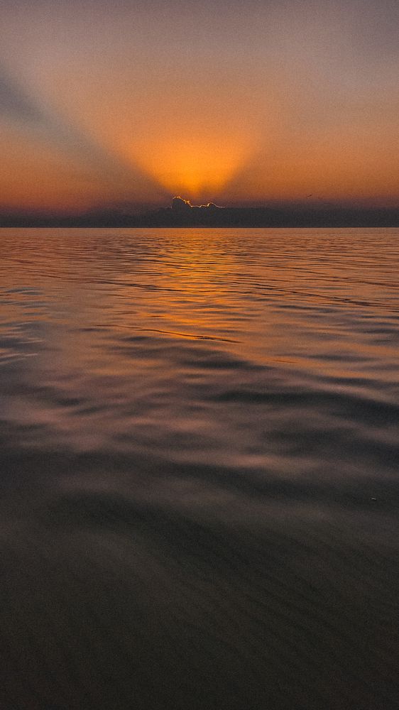 Photograph by Александра Егорова