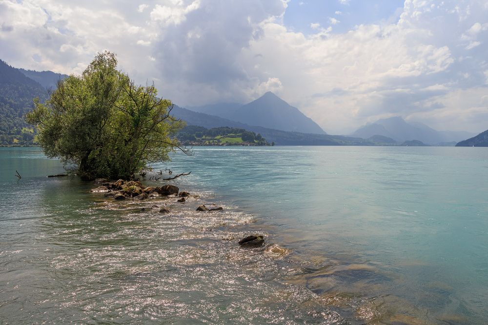 Photograph by Elena Zorina