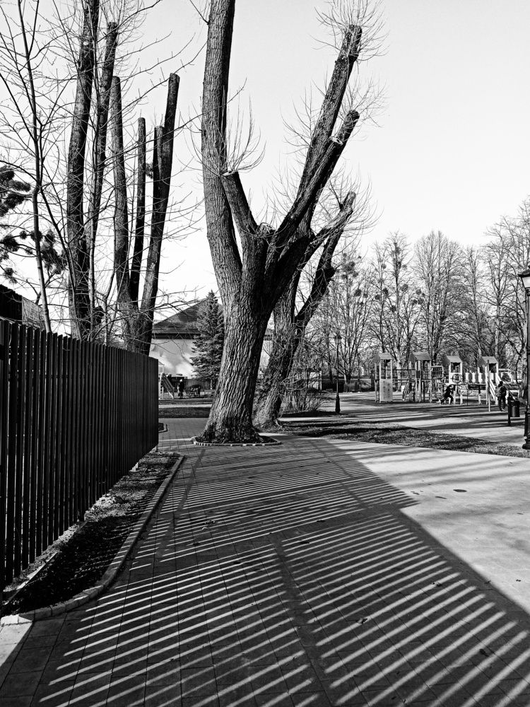 Photograph by Дина Полухина