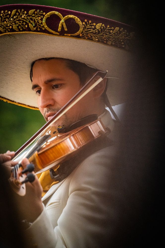 Photograph by Михаил Мамаев