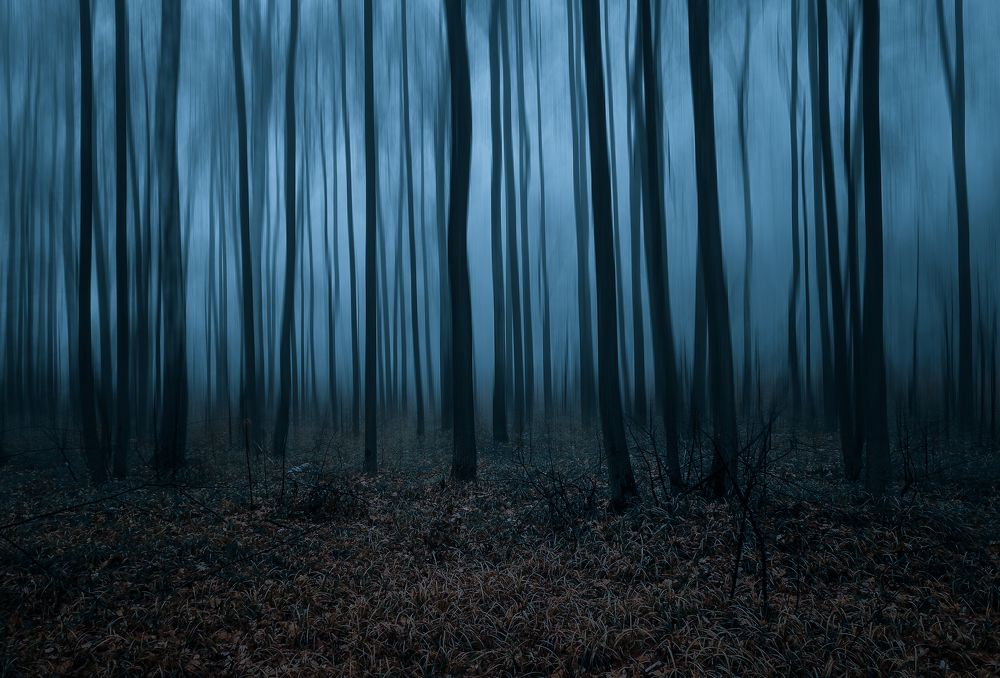 Photograph by Denis Romanov