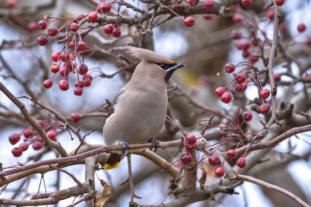 Photograph by Олег Колмаков
