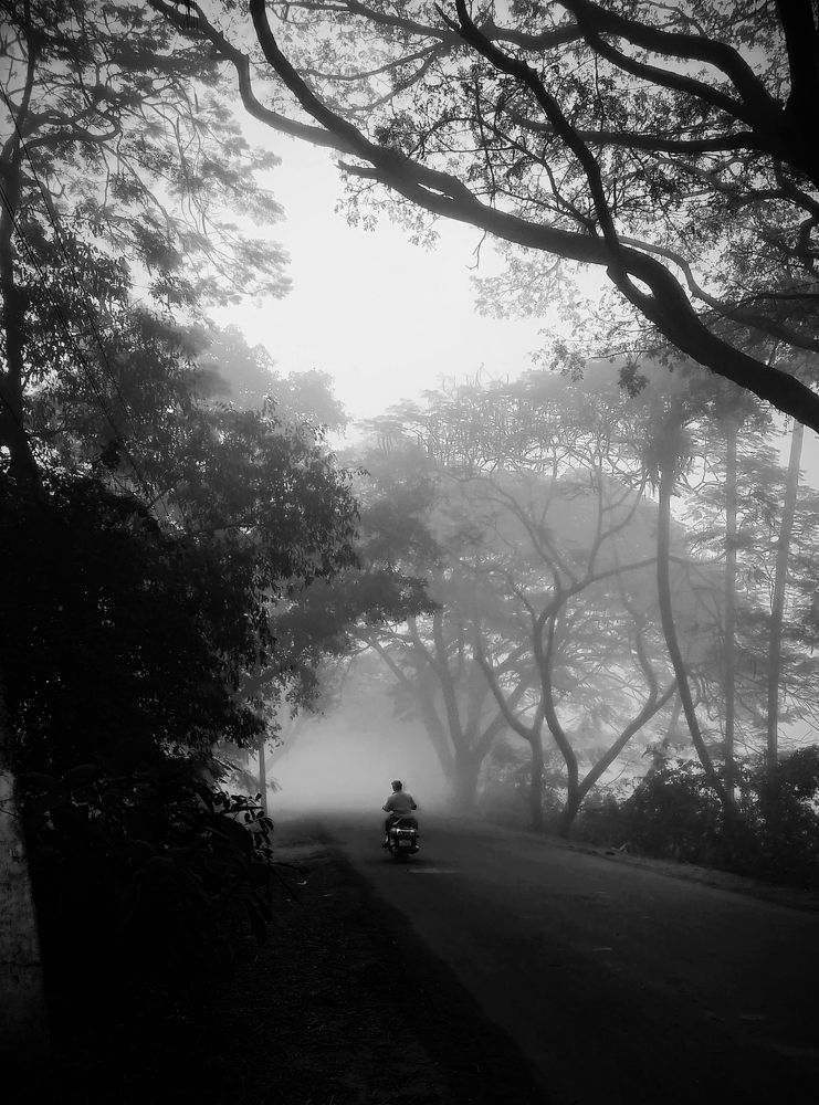 Winter misty morning's.!