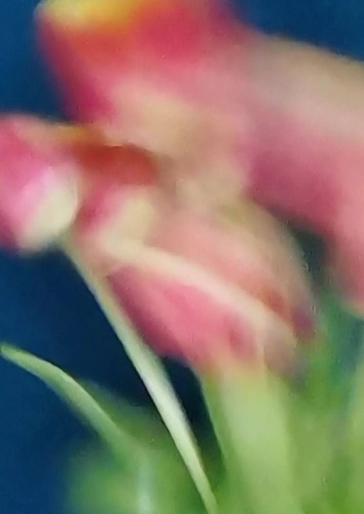 Photograph by Наталья Круглова