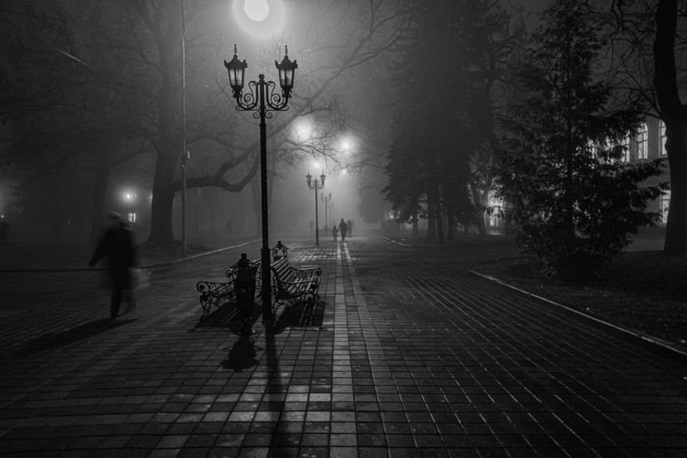 Photograph by 