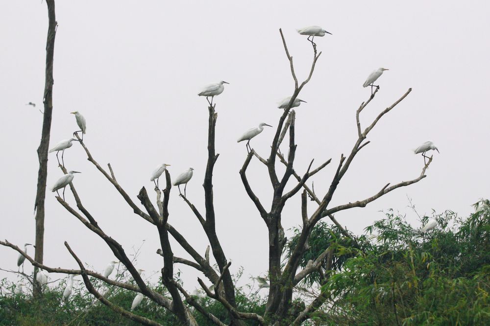 Photograph by Đỗ Đức