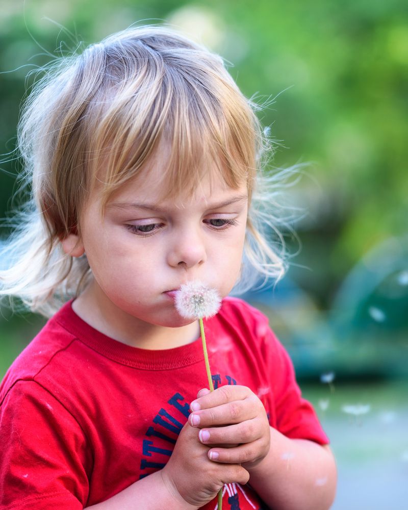 Фотография автора Владимир Зубков