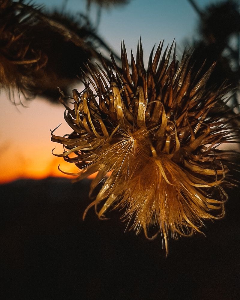 Photograph by MobigrafVDK