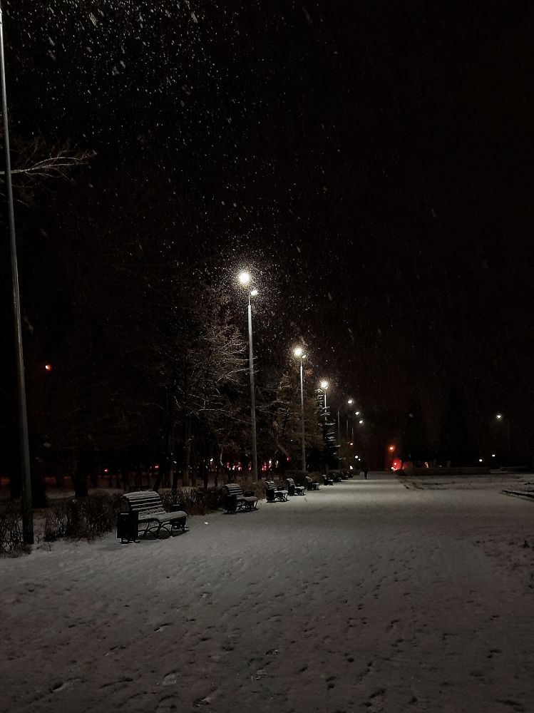 Photograph by Ксения Олина