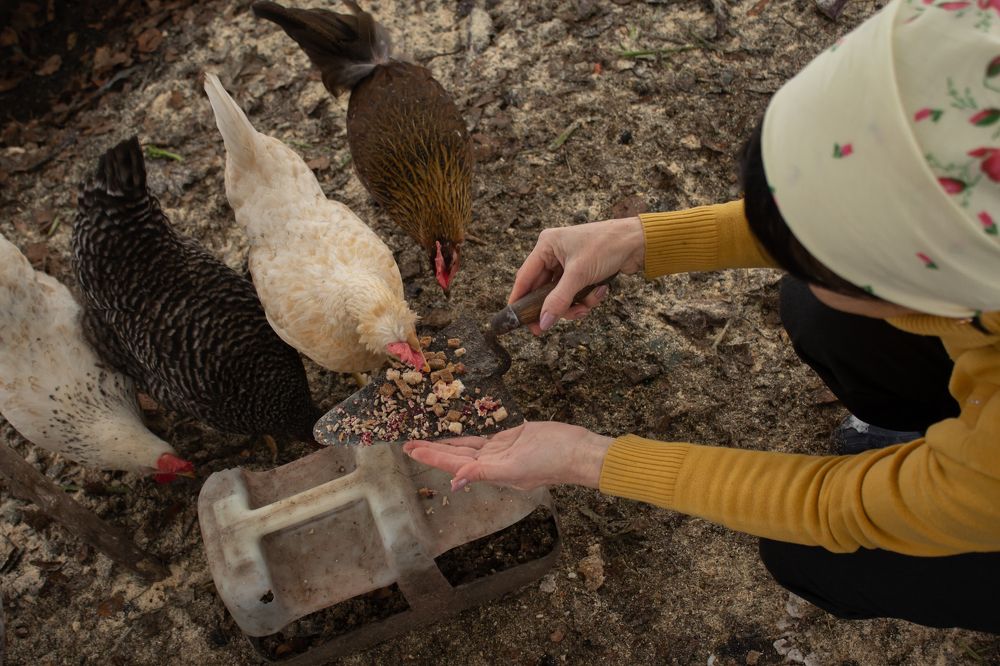 Photograph by Айгуль Кубиева