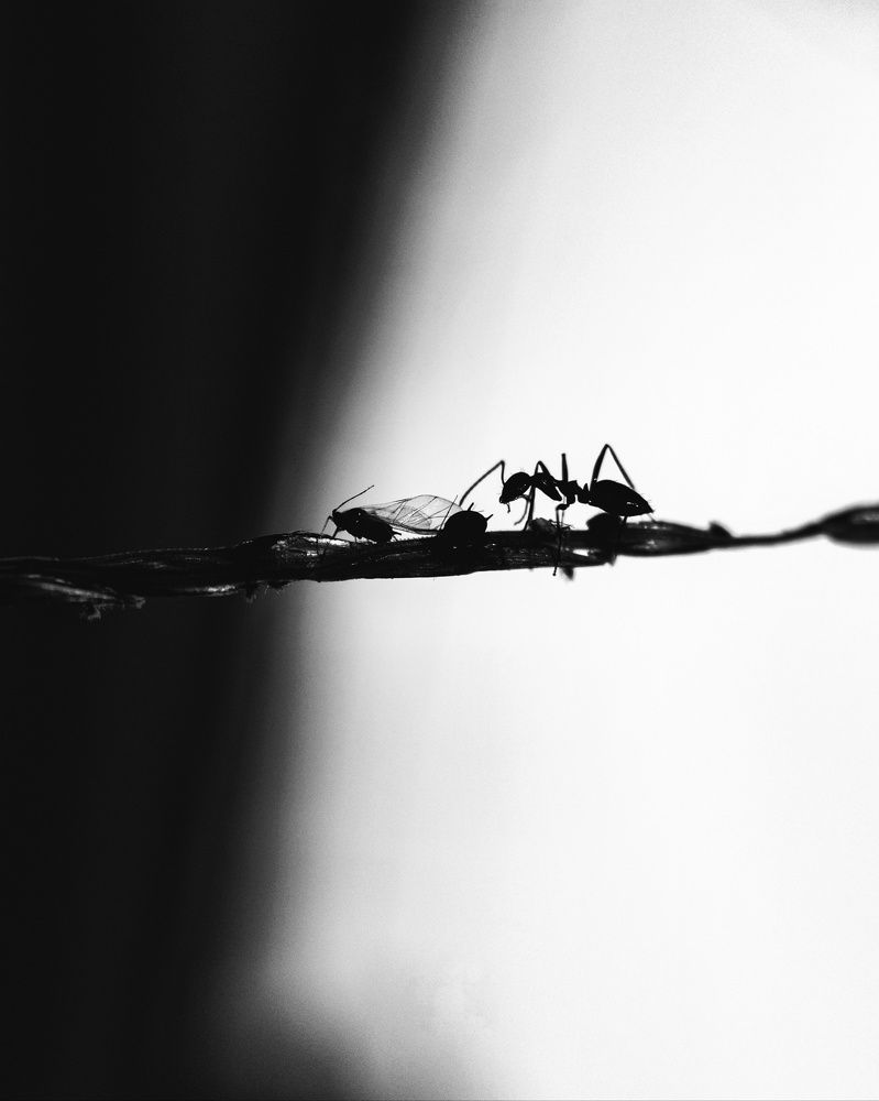 Photograph by ANIKET RANJAN