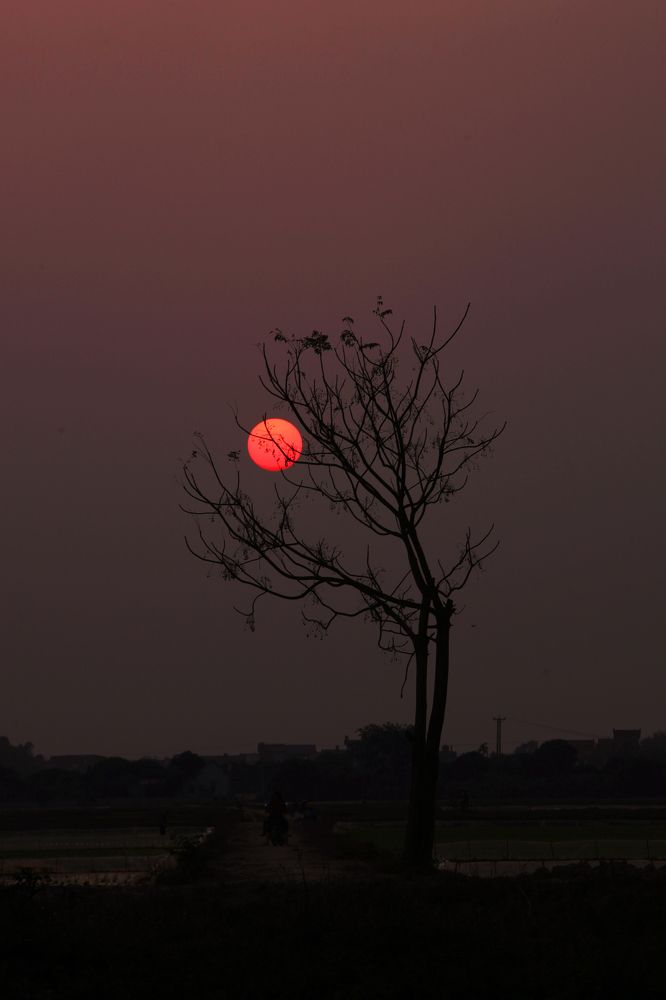 Photograph by Đỗ Đức