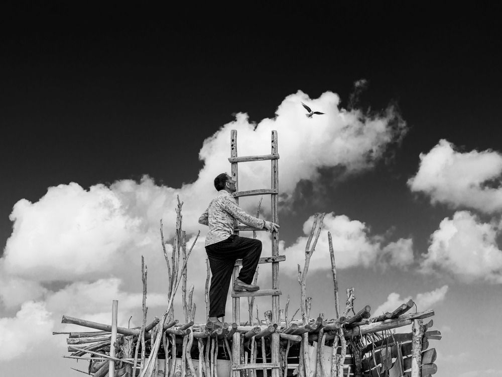 Photograph by majid hojati